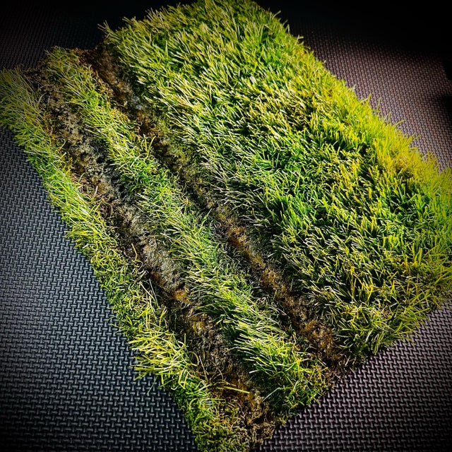 AmiAmi [Character & Hobby Shop]  Diorama Grass Mat Autumn (210 x 145 x  36mm)(Released)